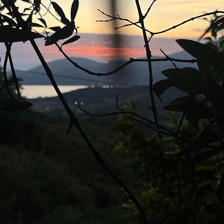 Casa Vacanze Alfano Ascea Εξωτερικό φωτογραφία