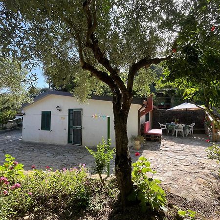 Casa Vacanze Alfano Ascea Εξωτερικό φωτογραφία