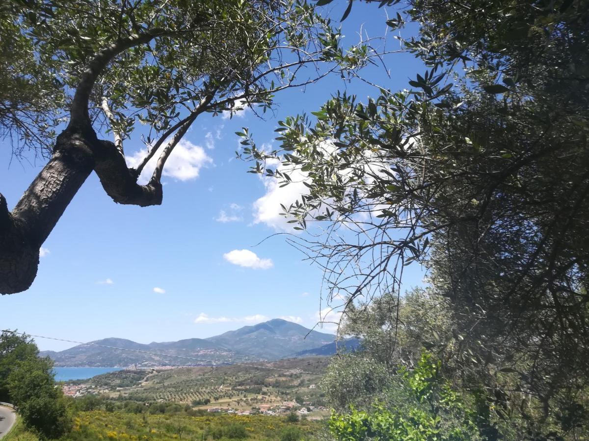 Casa Vacanze Alfano Ascea Εξωτερικό φωτογραφία