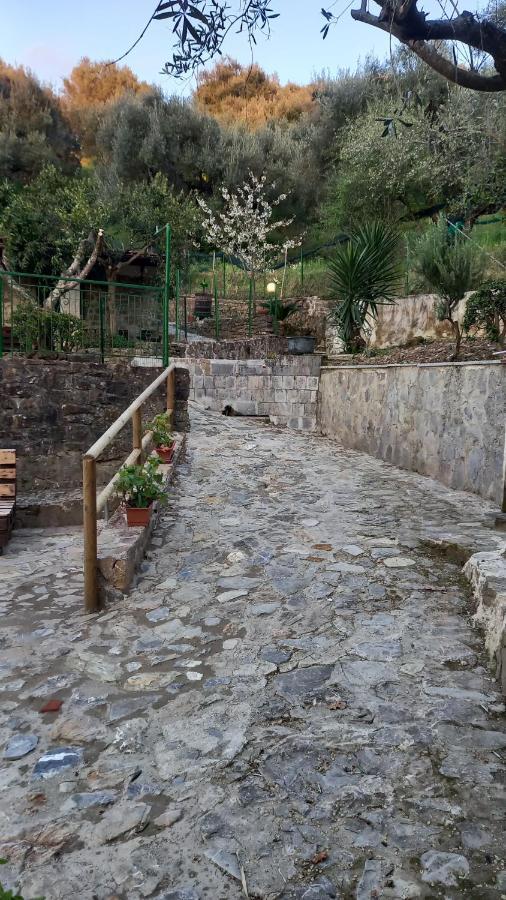 Casa Vacanze Alfano Ascea Εξωτερικό φωτογραφία