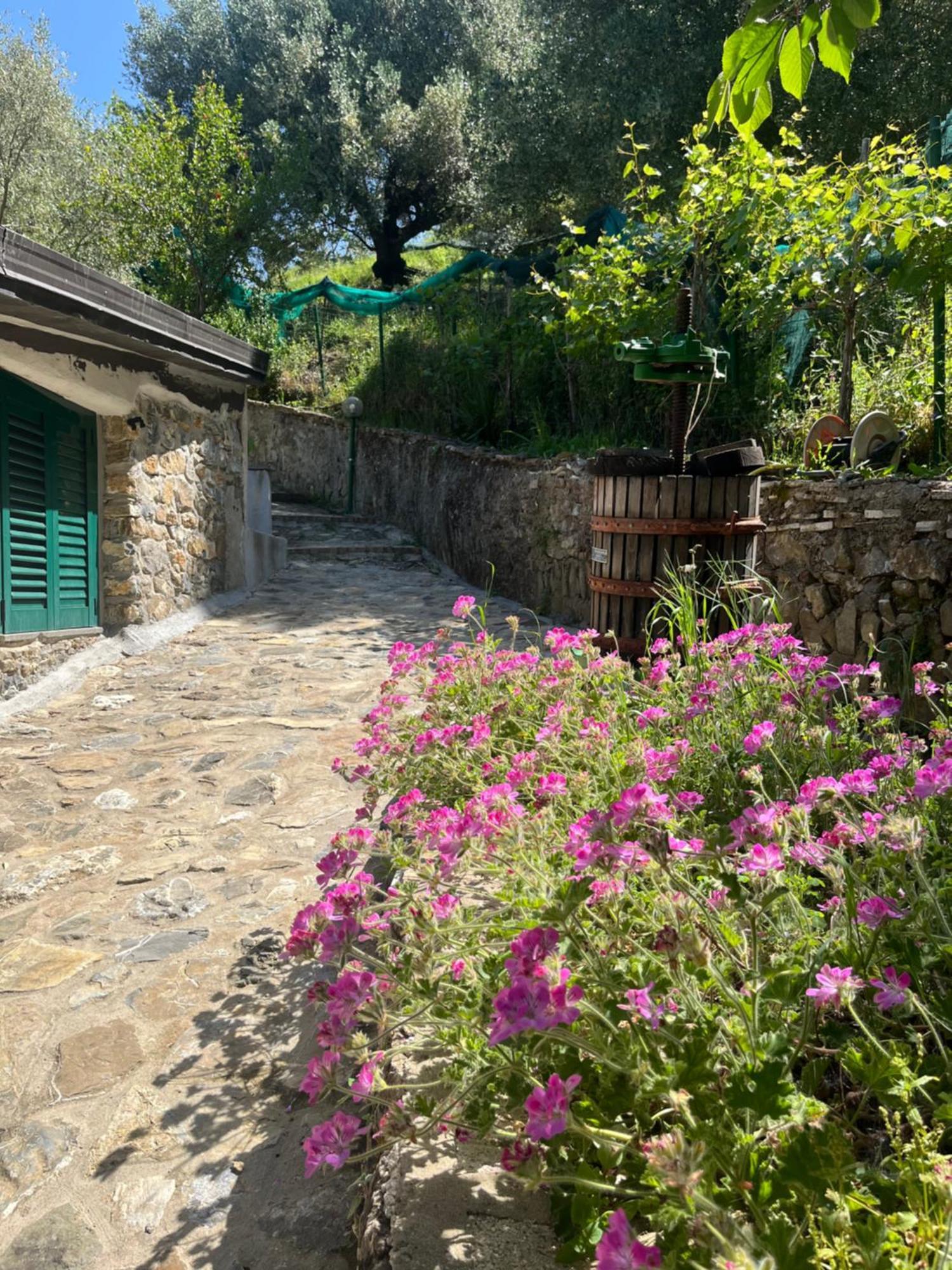 Casa Vacanze Alfano Ascea Εξωτερικό φωτογραφία
