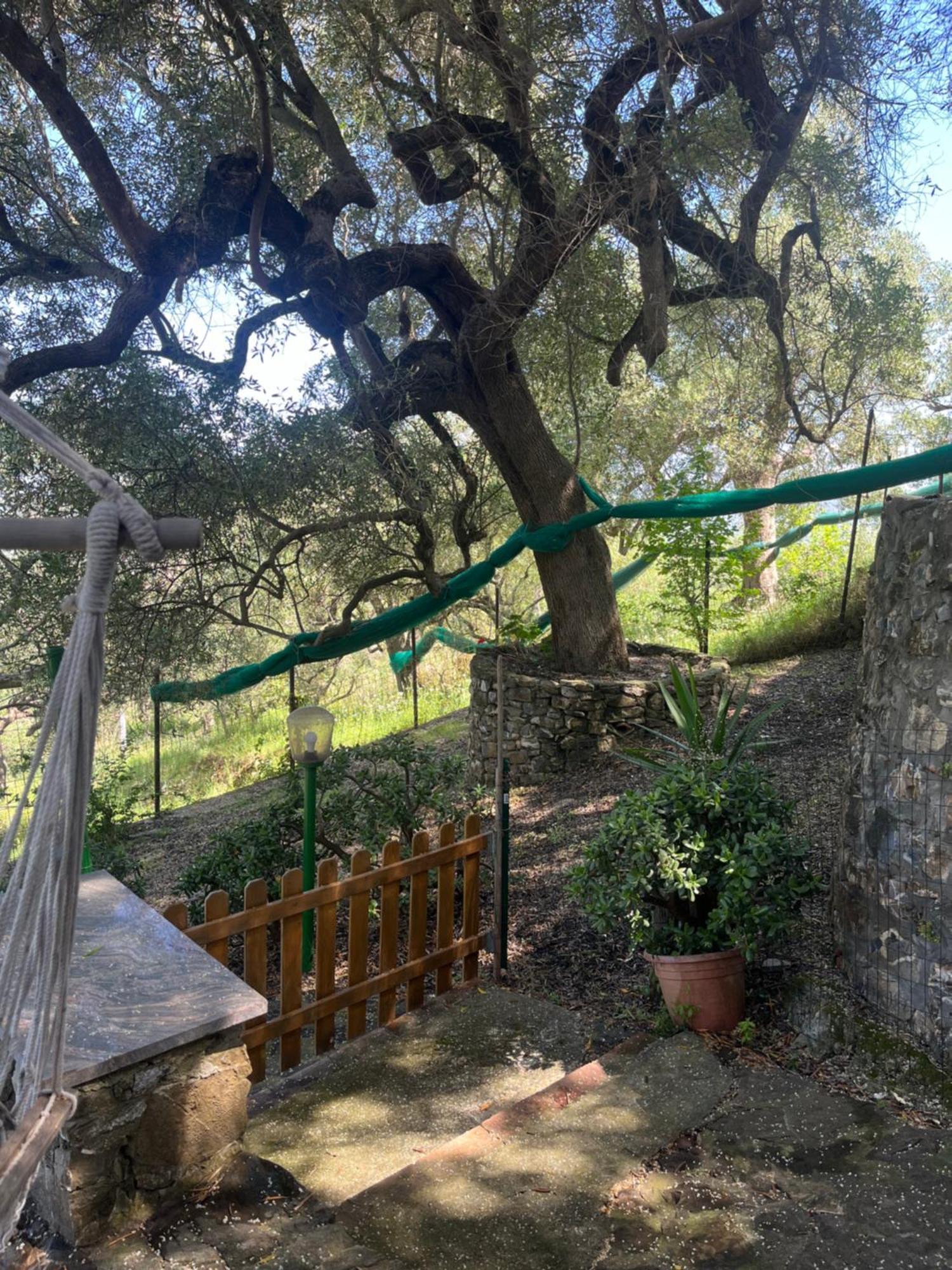 Casa Vacanze Alfano Ascea Εξωτερικό φωτογραφία