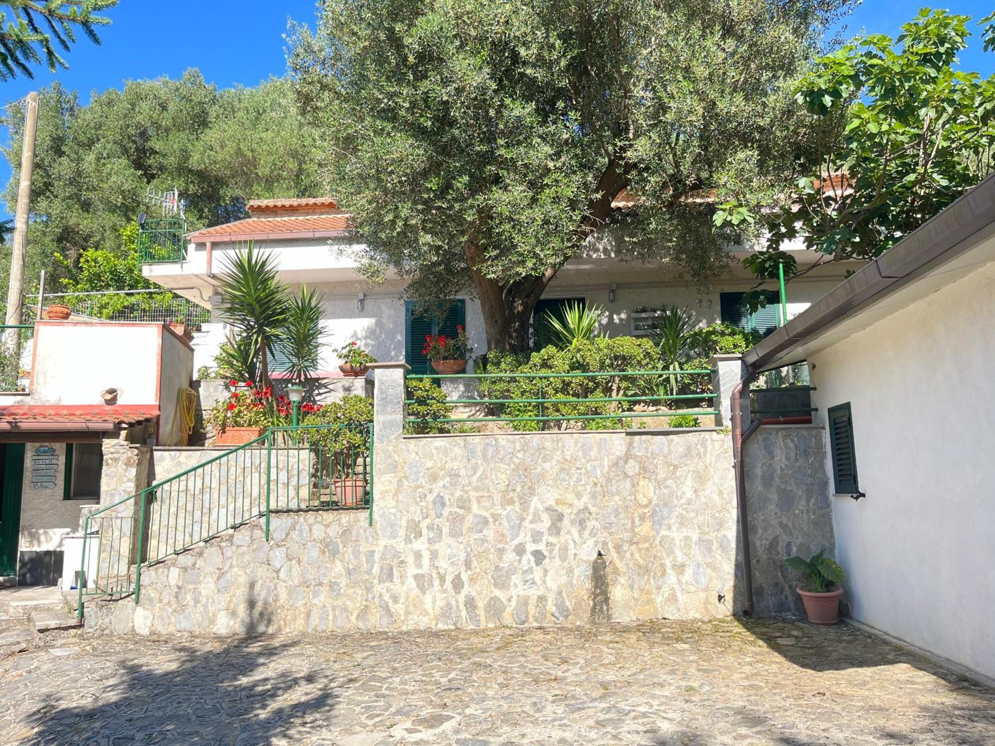 Casa Vacanze Alfano Ascea Εξωτερικό φωτογραφία