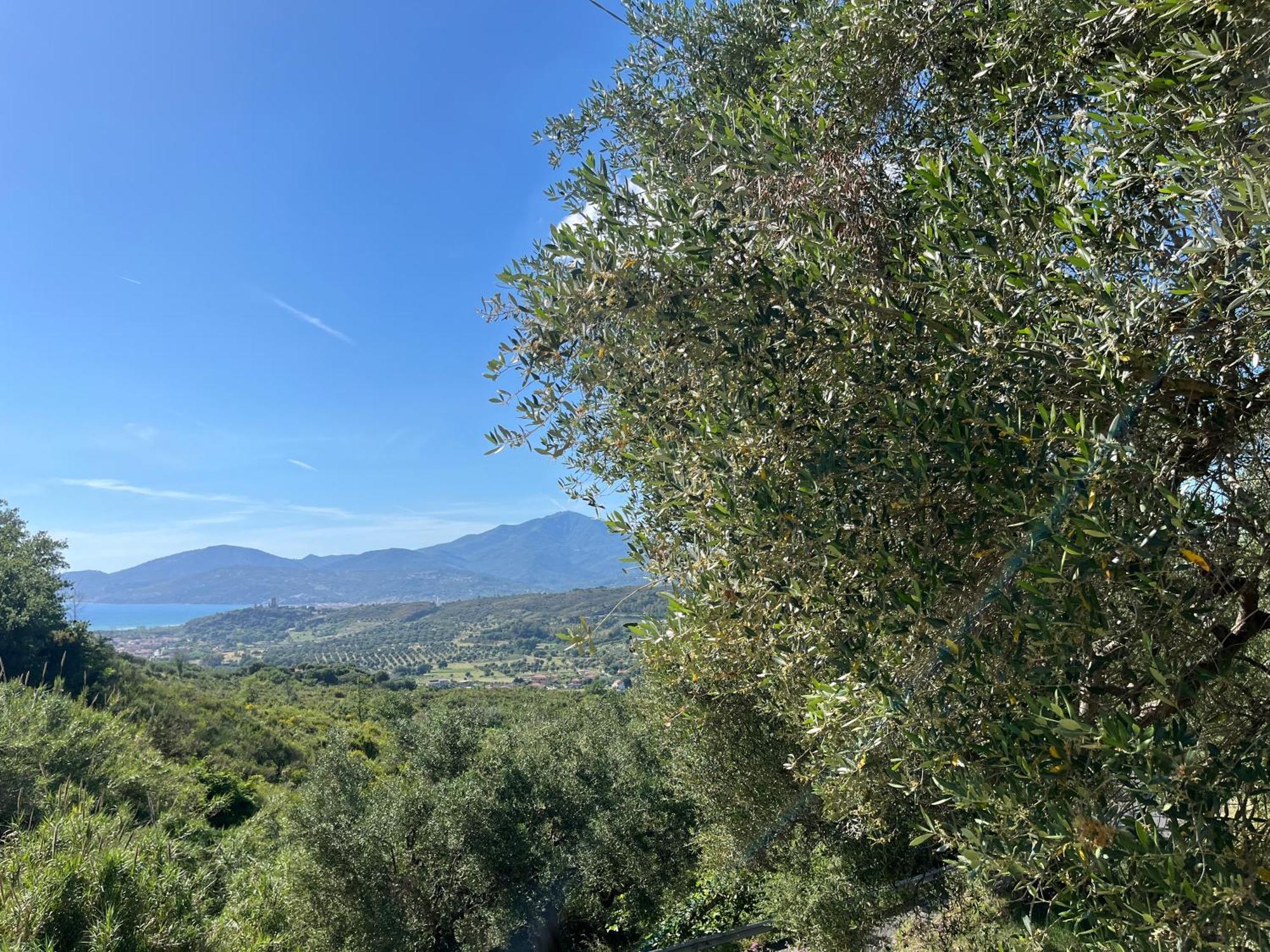 Casa Vacanze Alfano Ascea Εξωτερικό φωτογραφία