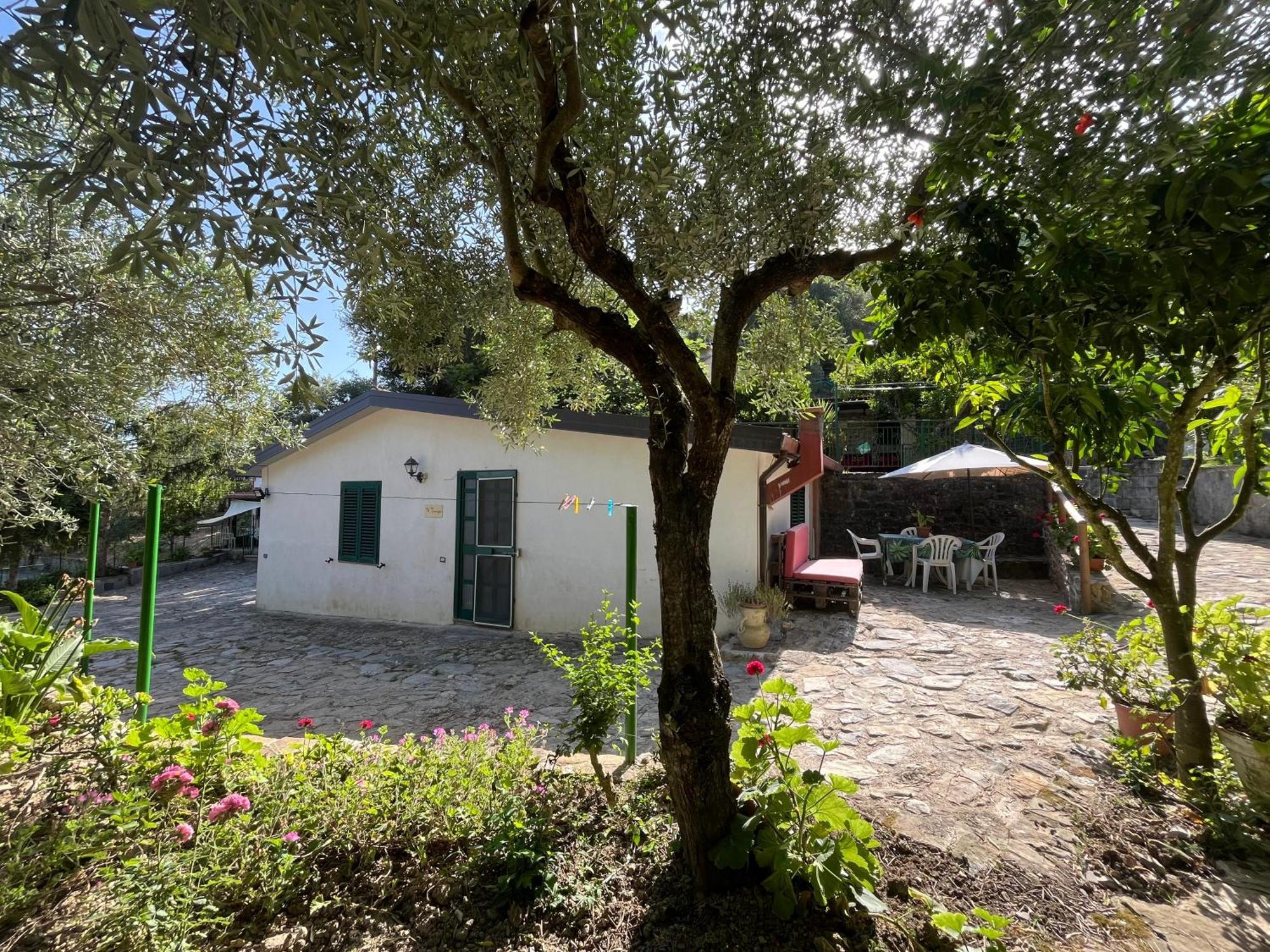 Casa Vacanze Alfano Ascea Εξωτερικό φωτογραφία